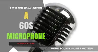 Achieve Vintage Vocal Warmth: Recreating the 60s Microphone Sound