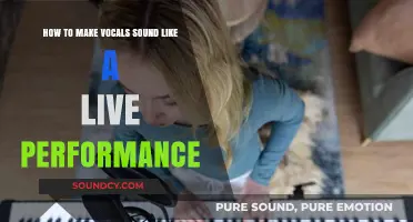 Mastering Live Vocal Techniques: Tips for Authentic Performance Sound
