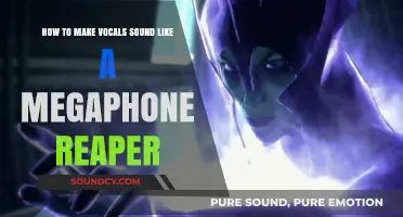 Reaper Megaphone Effect: Transform Vocals with Simple Audio Techniques