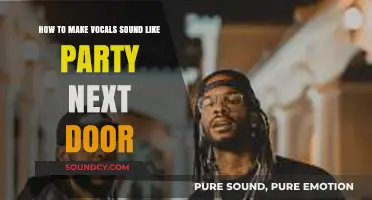 Mastering PartyNextDoor's Vocal Style: Techniques for Smooth, Melodic Vibes