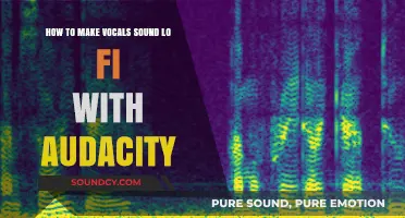 Create Lo-Fi Vocals: Audacity Techniques for Vintage Sound