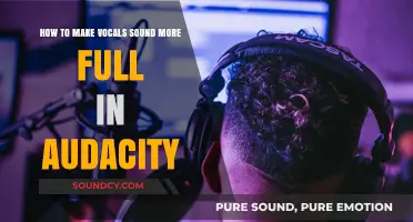 Enhance Your Vocals: Audacity Techniques for a Fuller, Richer Sound