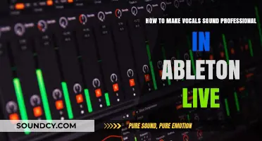 Mastering Professional Vocals in Ableton Live: Essential Techniques and Tips