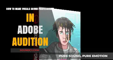Mastering Professional Vocals in Adobe Audition: Essential Tips and Techniques
