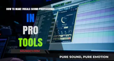 Mastering Pro Tools: Techniques for Professional-Sounding Vocals