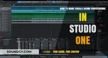 Mastering Professional Vocals: Studio One Techniques for Polished Sound