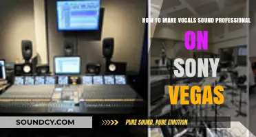 Mastering Professional Vocals in Sony Vegas: Essential Mixing Techniques