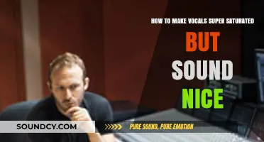 Achieve Rich, Saturated Vocals: Techniques for a Polished, Professional Sound