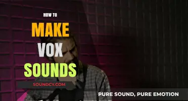 Mastering Vox Sounds: Techniques for Creating Unique Vocal Effects