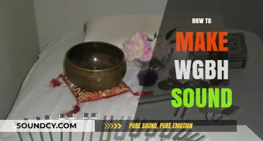 Mastering WGBH Sound: Techniques for Authentic Broadcast Audio Production