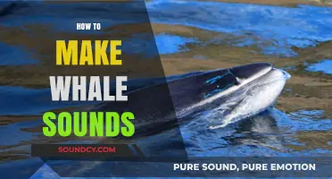 Mastering Whale Communication: Techniques to Create Authentic Whale Sounds