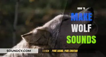Master the Art of Howling: A Guide to Making Wolf Sounds