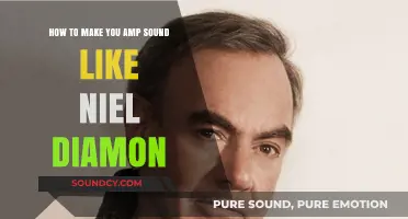 Mastering the Neil Diamond Tone: Amp Settings and Techniques Revealed