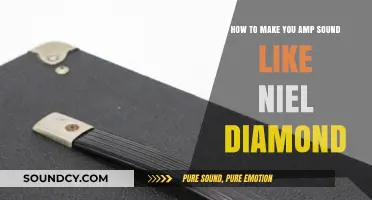 Mastering the Niel Diamond Tone: Tips for Your Amp Setup