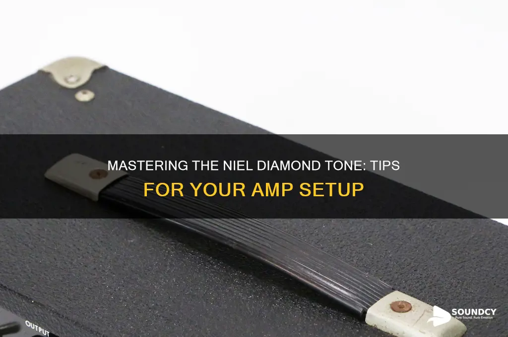 how to make you amp sound like niel diamond