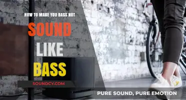 Transform Your Bass: Creative Techniques to Redefine Its Signature Sound