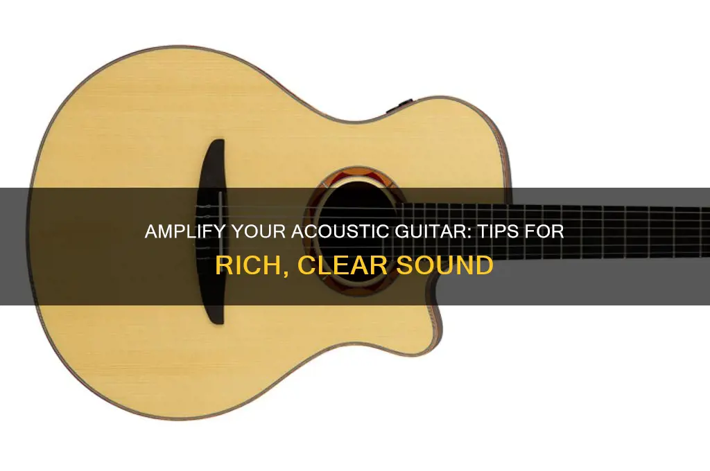 how to make your acoustic guitar sound great amplified