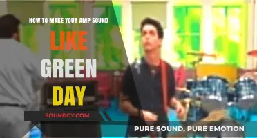 Amp Up Your Sound: Green Day's Signature Tone Unleashed