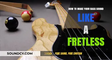 Unlocking the Fretless Tone: A Guide to Bass Guitar Techniques