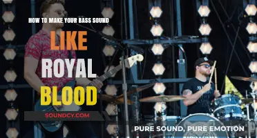Unlocking the Royal Blood Bass Tone: A Step-by-Step Guide