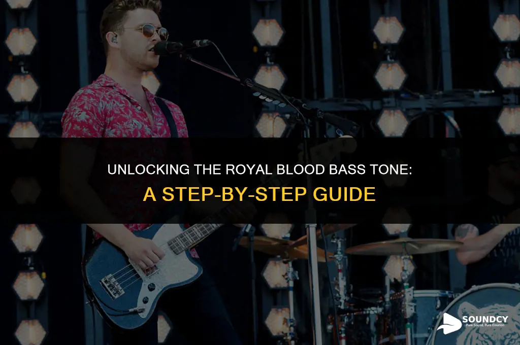how to make your bass sound like royal blood