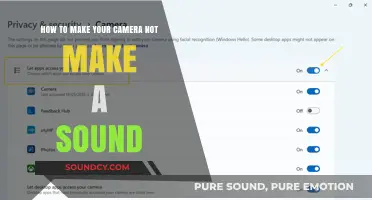 Silencing Your Camera: A Guide to Noise-Free Photography