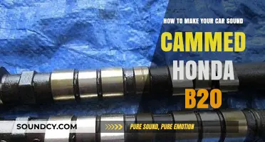 Boost Your Honda B20's Sound: A Guide to Cammed Engine Performance