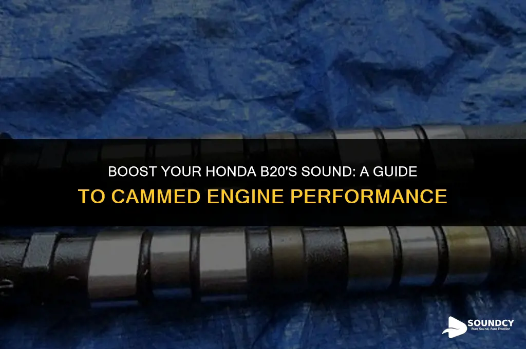 how to make your car sound cammed honda b20