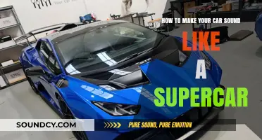 Rev Up Your Ride: Secrets to Supercar Sound on a Budget