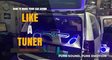 Rev Up Your Ride: The Tuner Sound Guide