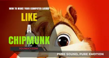 Squeaky Tech: Transforming Your Computer's Voice to Chipmunk Chatter