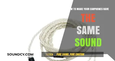 Achieving Sonic Harmony: Tips for Balanced Earphone Sound