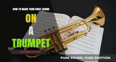 Trumpet Triumphs: Crafting Your Inaugural Sound