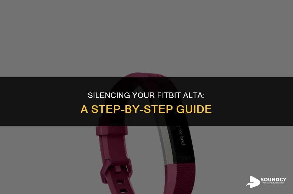 how to make your fitbit alta not make sound