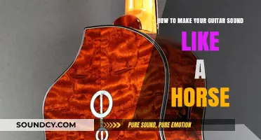 Neigh-ver Miss a Beat: Horse-Inspired Guitar Techniques