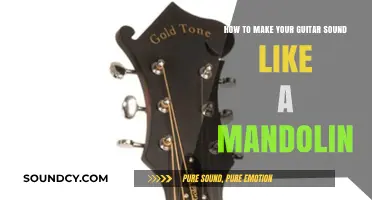 Unlocking Mandolin Tones: A Guitarist's Guide to Sweet, Bright Sounds