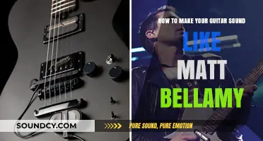 Unlocking the Bellamy Tone: A Guide to Guitar Sounds