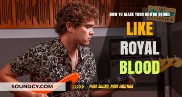 Unlocking the Royal Blood Tone: A Guitarist's Guide to Sonic Majesty