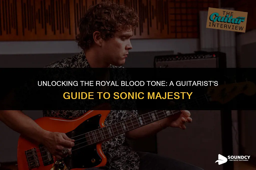 how to make your guitar sound like royal blood