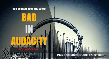 Deliberately Degrading Audio: A Guide to Making Your Mic Sound Bad in Audacity