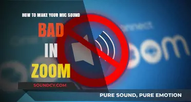 The Art of Terrible Audio: How to Make Your Mic Sound Bad in Zoom