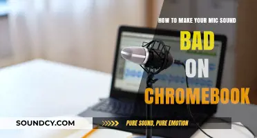 Quick Tips to Worsen Your Chromebook's Microphone Quality