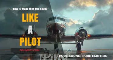 Elevate Your Voice: Mastering the Art of Pilot-Like Communication