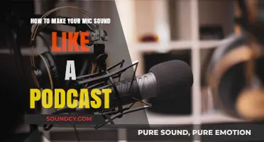 Elevate Your Podcast: Mastering the Perfect Mic Sound
