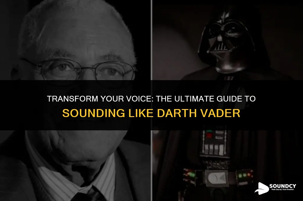 how to make your mic sound like darth vader
