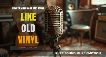Vintage Vibes: Mastering the Art of Old Vinyl Sound