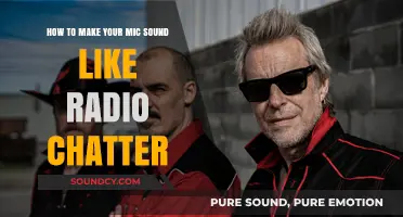 Echoes of the Airwaves: Crafting Your Mic's Radio Chatter Sound