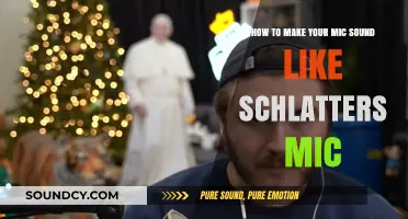 Achieve Schlatt's Signature Sound: A Guide to Microphone Mastery