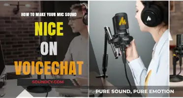 Elevate Your Voice Chat: Tips for Crystal-Clear Mic Sound