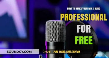 Elevate Your Audio: Free Tips for Professional-Sounding Mic Recordings